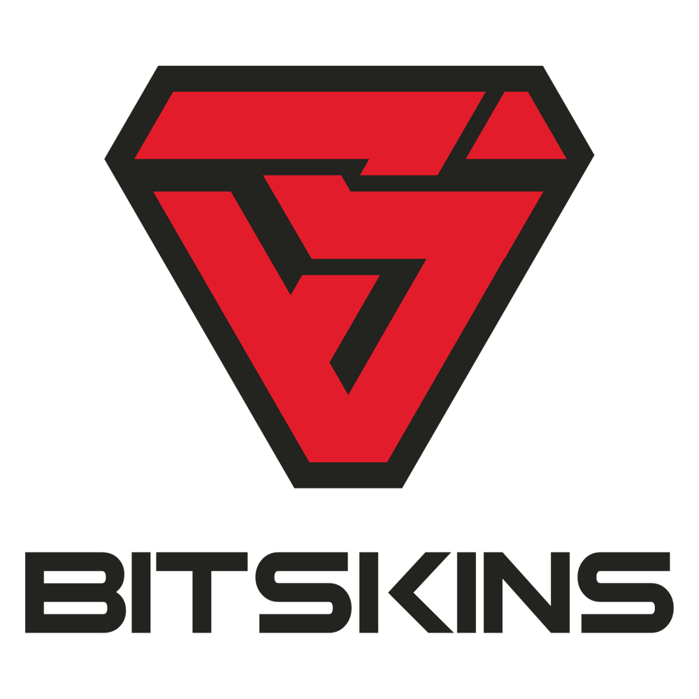 Bitskins Review