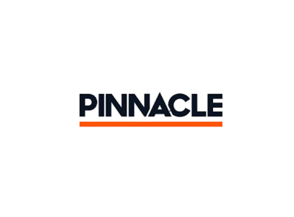 Обзор Pinnacle и доступ через зеркало